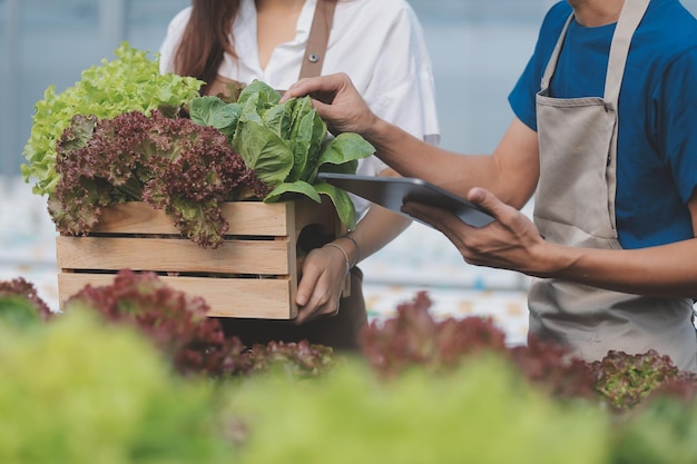 有機農場労働者が温室農場の庭でチンゲン菜の有機野菜をテストし、環境データを収集する