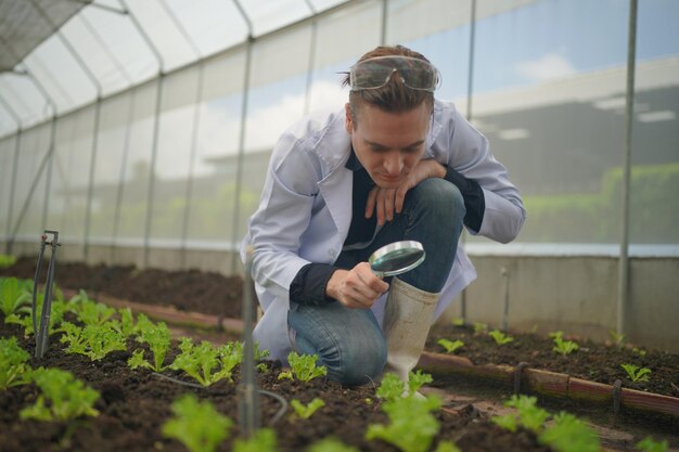 Organic Farmer Eco Agriculture-onderzoekers bij slimme biologische boerderij Innovatieve landbouwtechnologie