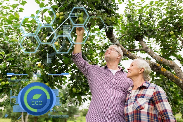 Foto concetto di agricoltura biologica, agricoltura e persone - felice coppia senior con melo nel giardino estivo