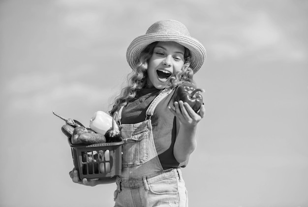 Organic food child carry harvest sky background homegrown\
veggies natural vitamin nutrition crops harvest harvest season\
sunny day at farm vegetables in basket girl adorable child\
farming