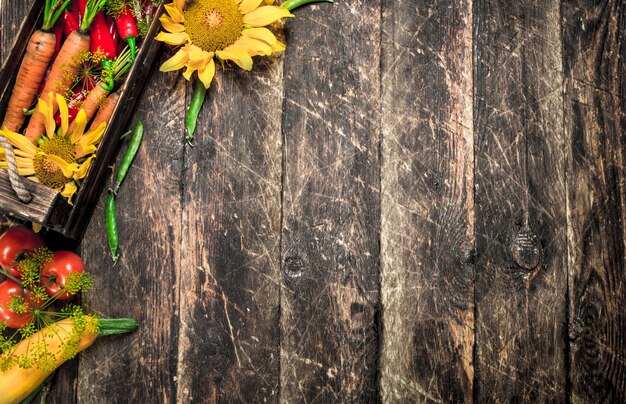 Organic food. Fresh harvest of vegetables. On a wooden background.