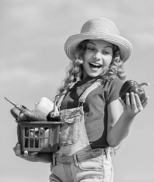 유기농 식품 농장의 화창한 날 바구니에 있는 야채 소녀 사랑스러운 어린이 농업 어린이는 수확 하늘 배경을 나릅니다. 자생 채소 천연 비타민 영양 작물 수확 수확 계절