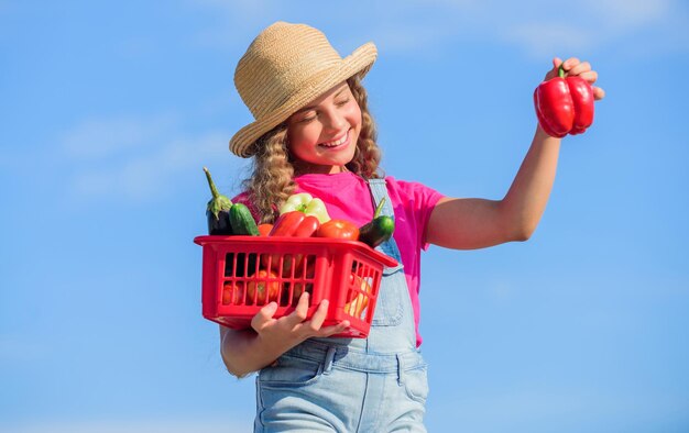 Organic food Sunny day at farm Vegetables in basket Girl adorable child farming Homegrown veggies Natural vitamin nutrition Crops harvest Harvest season Child carry harvest sky background