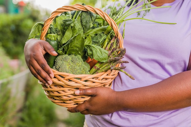 Verdure biologiche con mano persone cubane latine che fanno giardinaggio nella sostenibilità della natura urbana