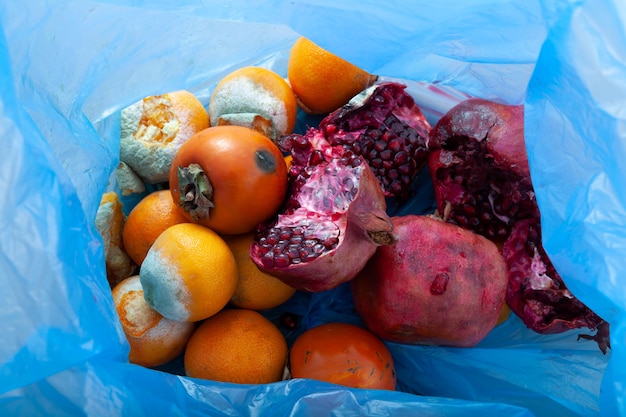 Organic food waste Rotten fruits in trash can Imperfect storage vegetable and fruits