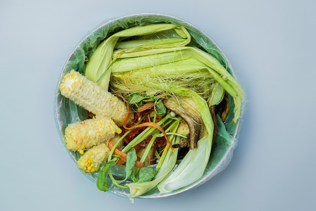 Organic food wastes in a bucket, shot from above.