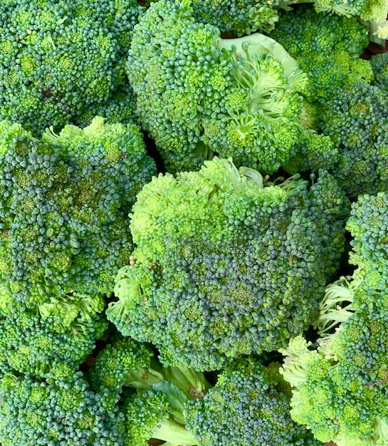 Photo organic and fresh broccoli. product close-up