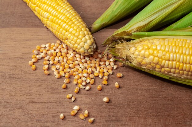 Organic fresh corncobs or corn ears on wood.Food for health. 