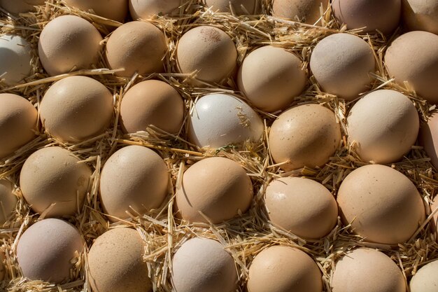 Organic fresh farm eggs at the market place