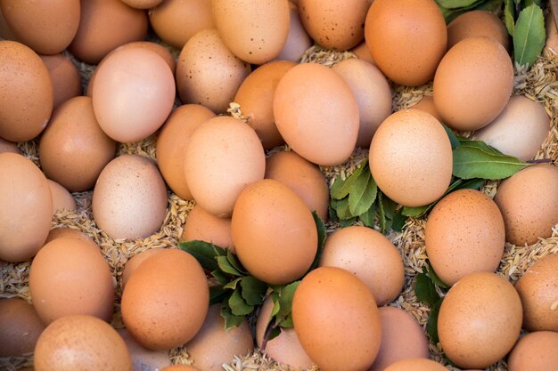 Organic fresh farm eggs at the market