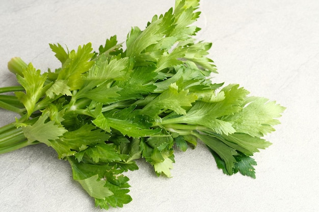 Organic fresh green celery sticks on a grey background Selected focus