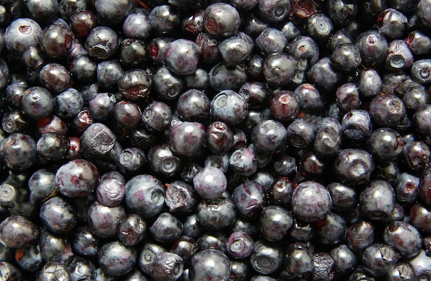 Organic fresh many blueberry background