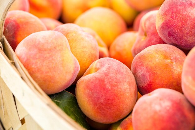 Organic fresh produce at the local farmers market.