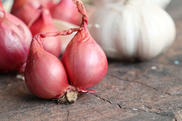 Organic garlic with shallot