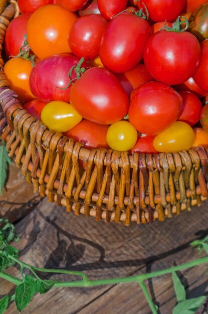 Photo organic green red yellow orange tomatoes in wooden basket