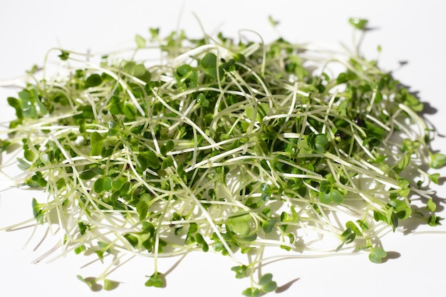 Organic kale sprouts on white background