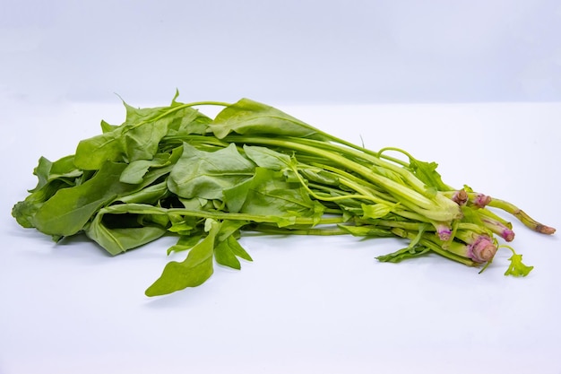 Organic Leafy Green Spinach Vegetable in White Background