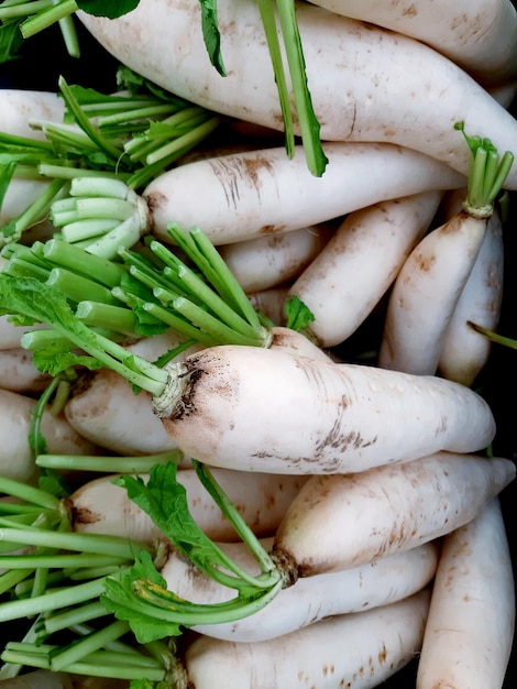 Organic local white radish vegetables or sell in the market vegetable