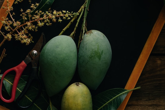 Organic mango on table