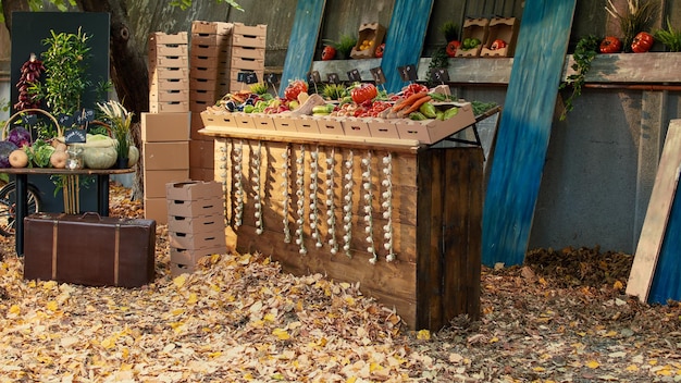 Organic natural local fruits and vegetables on farmers market\
stall, empty small business shop. healthy grown natural products on\
counter, food market with price tags and bio produce.