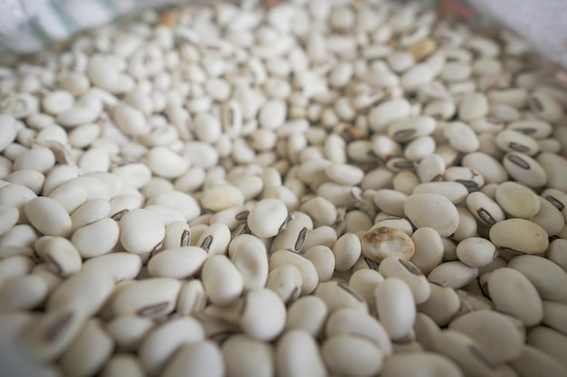 Photo organic navy bean from thailand.