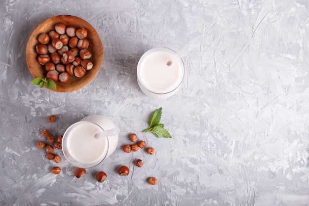 Organic non dairy hazelnut milk in glass and wooden plate with hazelnuts on a gray concrete. 