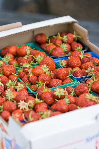 organic norwegian strawberries in a paper box harvested on a strawberry field in the countryside