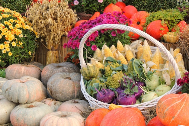 Organic pumpkin and vegetable in rattan basket on agricultural fair. Harvesting autumn time concept.