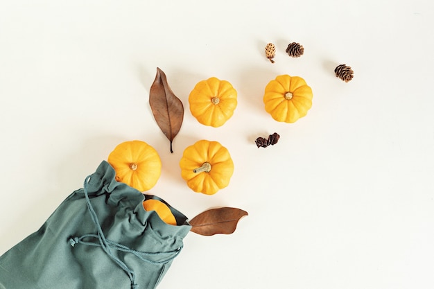 Organic pumpkins crop as Halloween holidays preparation