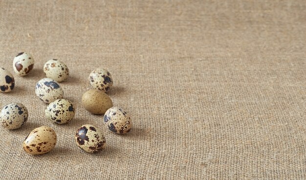 Organic quail eggs on flaxen surface