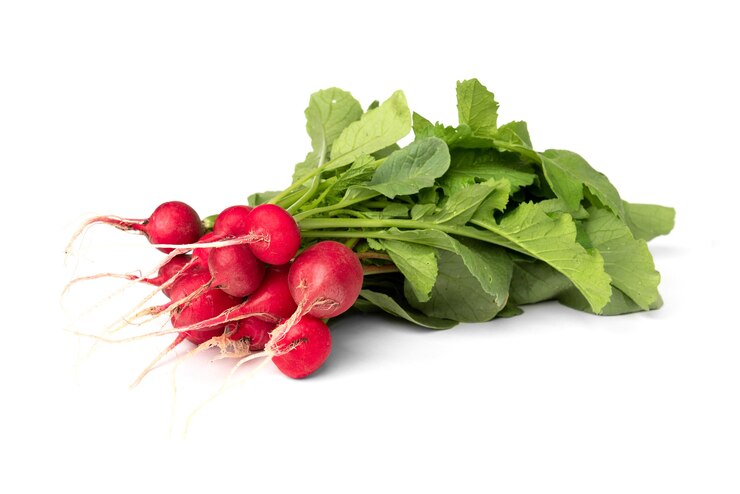Photo organic radish isolated on white