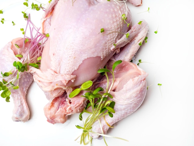 Organic raw whole chicken on white background with microgreens herbs