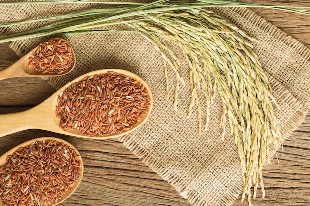 Organic rice grain in wooden spoon on wooden background,top view