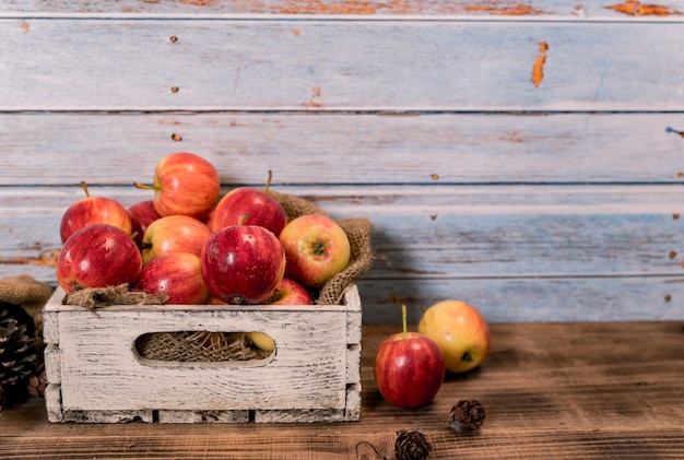 Organic ripe red apples in wooden box. Fall harvest cornucopia in autumn season. Fresh fruit with wood table background.