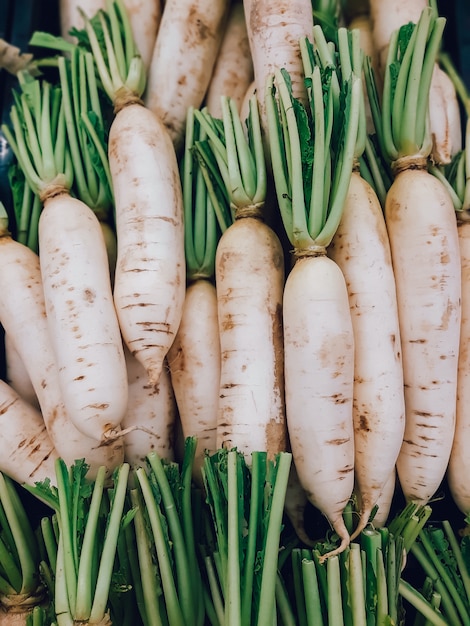 organic stacked daikon radish