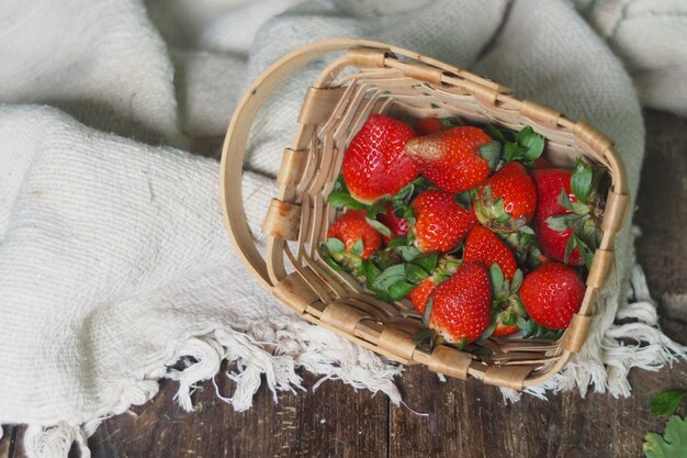 Organic strawberries in field, freshly strawberry basket