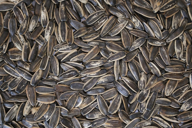 Organic sunflower seed for background uses