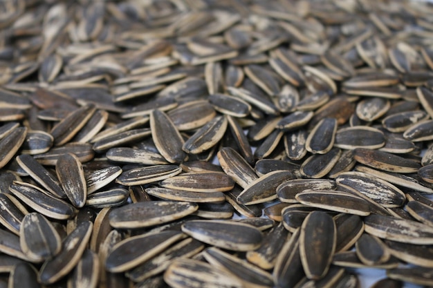 Organic sunflower seed for background uses