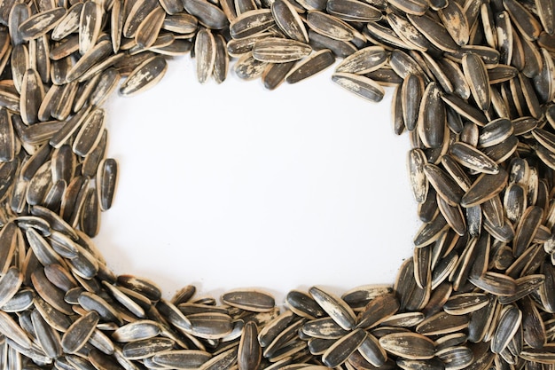 Organic sunflower seed for background and white space for copy