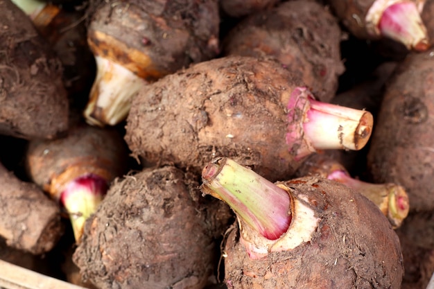 Photo organic taro at street food