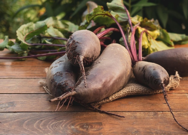 Barbabietola vegetale organica su un primo piano di legno del fondo cibo vegetariano