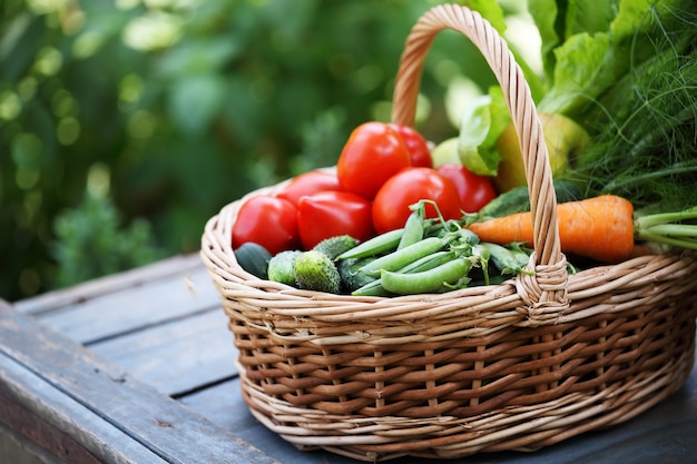 Organic vegetables in big basket