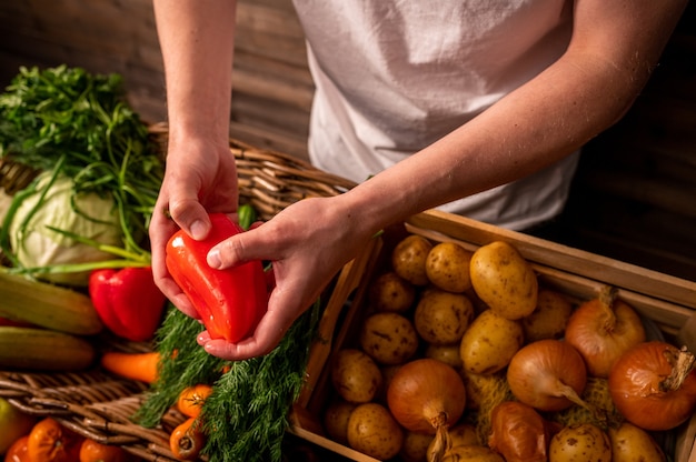 Organic vegetables farmers hands with freshly picked apples fresh organic apples fruits and vegetabl...