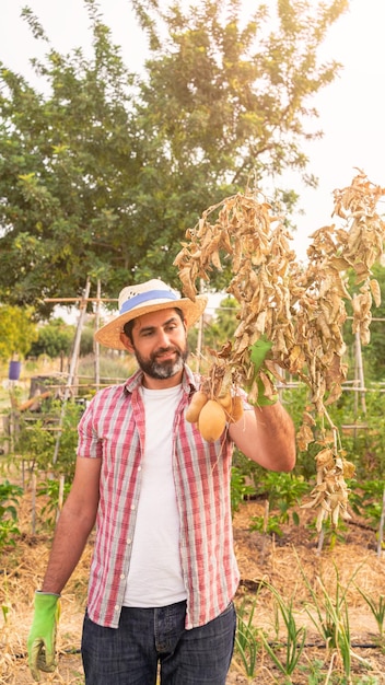 Organic vegetables Fresh potatoes in the hands of male farmer Cheerful man