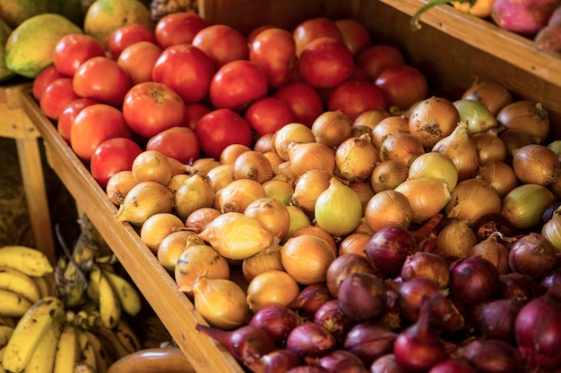 コスタリカの市場で販売される有機野菜