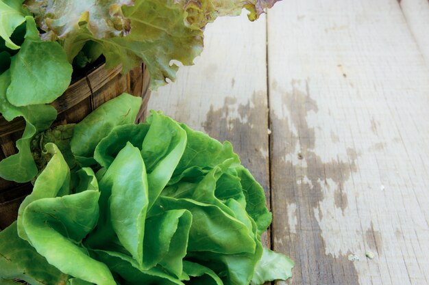 Organic vegetables of wet on wooden.