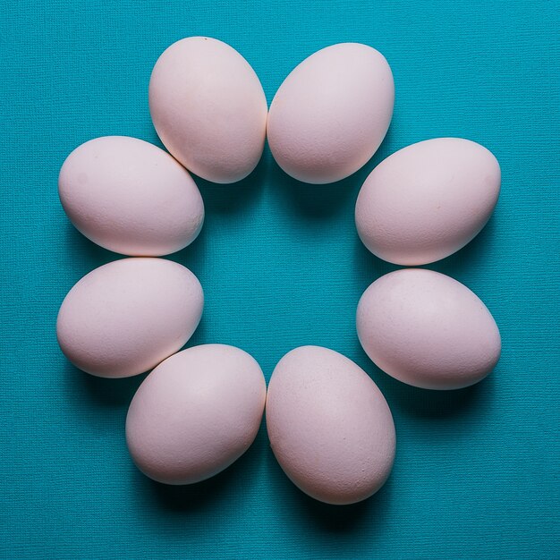 Organic white eggs in a raw on aqua pastel backgound. 