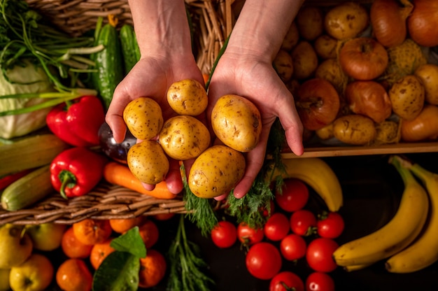 Organische groenten. Boerenhanden met vers geplukte groenten. Verse biologische aardappelen. Markt voor groenten en fruit