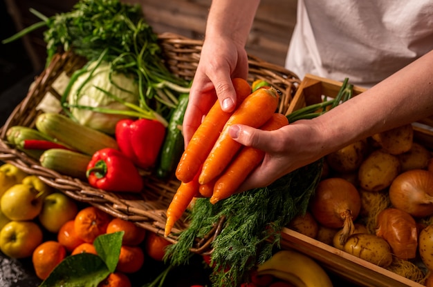 Organische groenten. boerenhanden met vers geplukte wortelen. verse biologische wortelen. markt voor groenten en fruit