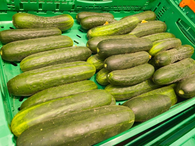 Organized green cucumbers in the supermarket. vegetable and
vitamins.